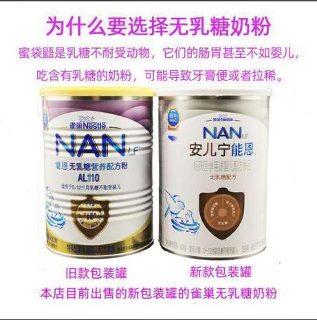 蜜袋鼯常见问题