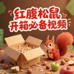 红腹松鼠完整开箱「死亡补发凭证」-易客萌宠官网