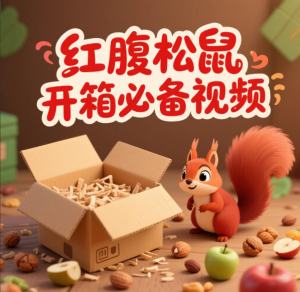 红腹松鼠完整开箱「死亡补发凭证」-易客萌宠官网