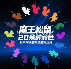 魔王松鼠20种颜色及天数叫法-易客萌宠官网