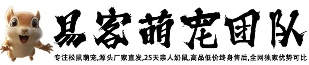 红腹松鼠26条购前声明「务必仔细阅读」-易客萌宠官网 红腹松鼠26条购前声明「务必仔细阅读」-易客萌宠官网