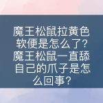 魔王松鼠饲养攻略第二篇-易客萌宠官网