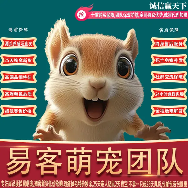 易客萌宠蛋蛋-易客萌宠官网