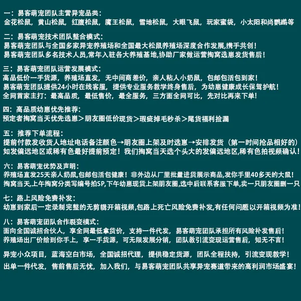 红腹松鼠26条购前声明「务必仔细阅读」-易客萌宠官网 红腹松鼠26条购前声明「务必仔细阅读」-易客萌宠官网