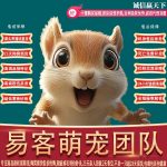 主营异宠及服务售后急救介绍-易客萌宠官网