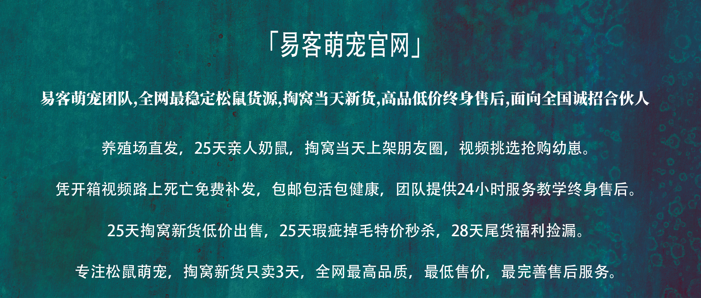 幻灯片-易客萌宠官网