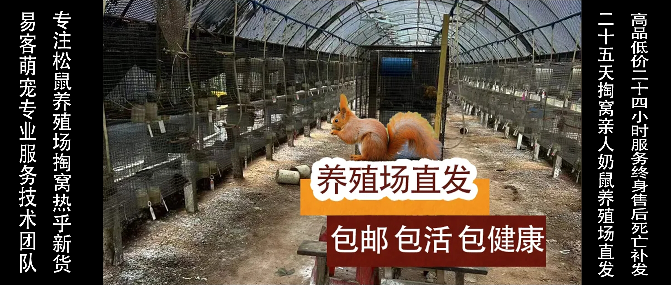 幻灯片-易客萌宠官网