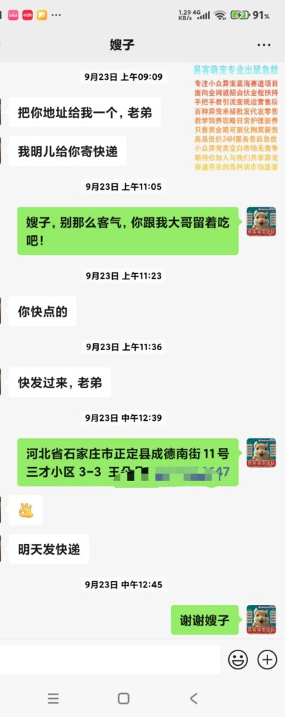 易客萌宠技术团队和国内几家最大松鼠养殖场关系?-易客萌宠官网 易客萌宠技术团队和国内几家最大松鼠养殖场关系?-易客萌宠官网