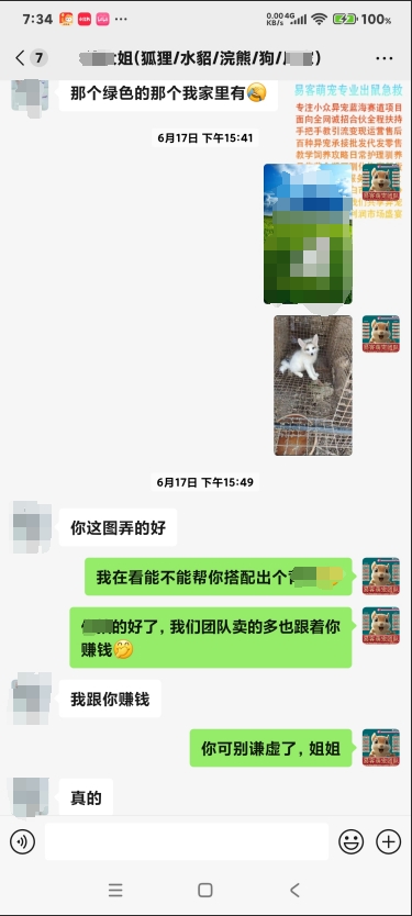 易客萌宠技术团队和国内几家最大松鼠养殖场关系?-易客萌宠官网 易客萌宠技术团队和国内几家最大松鼠养殖场关系?-易客萌宠官网