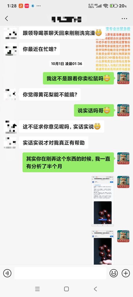 易客萌宠技术团队和国内几家最大松鼠养殖场关系?-易客萌宠官网 易客萌宠技术团队和国内几家最大松鼠养殖场关系?-易客萌宠官网